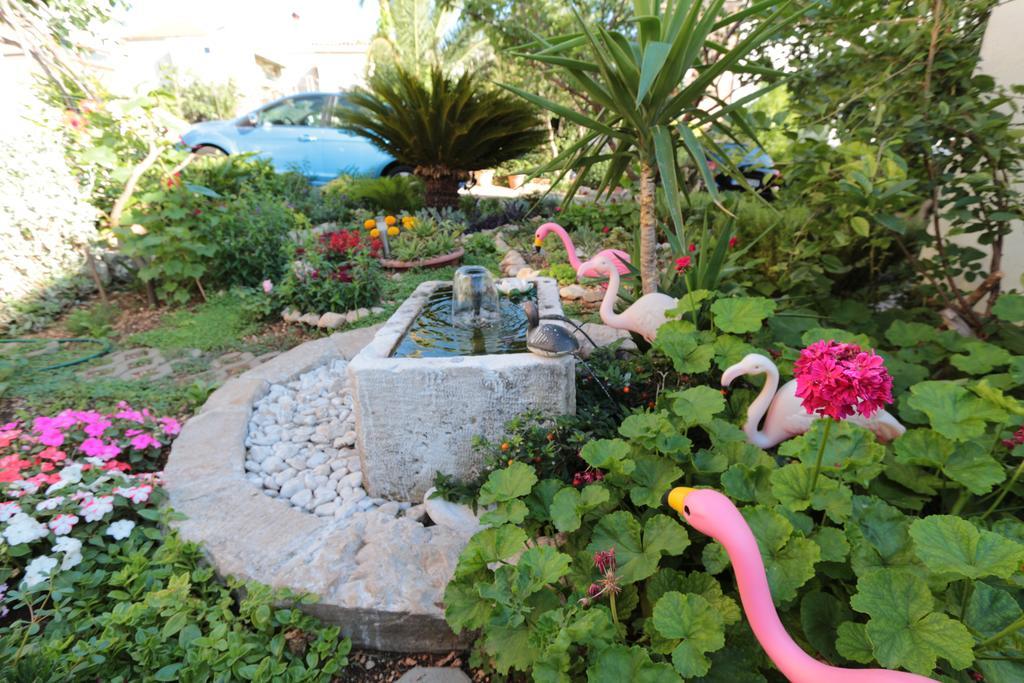 Flamingo *